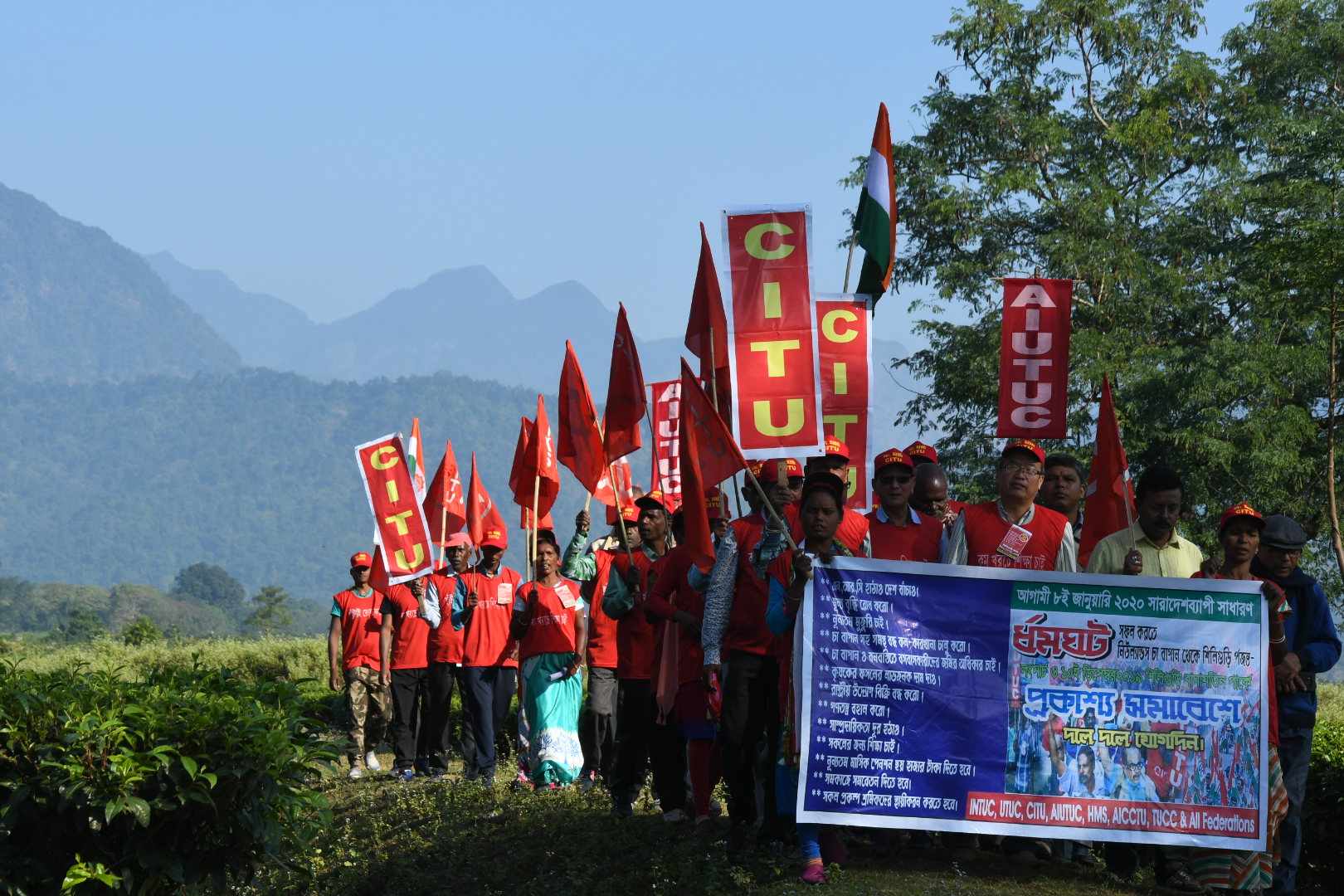Campaigns & Struggle