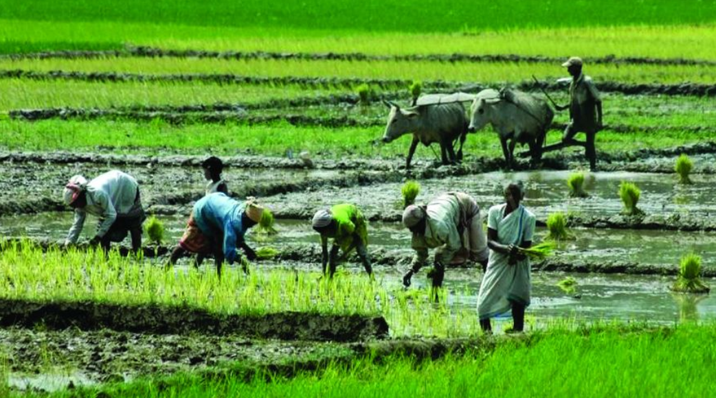 বর্গা উচ্ছেদকে আইনি বৈধতা দিতে চায় রাজ্য