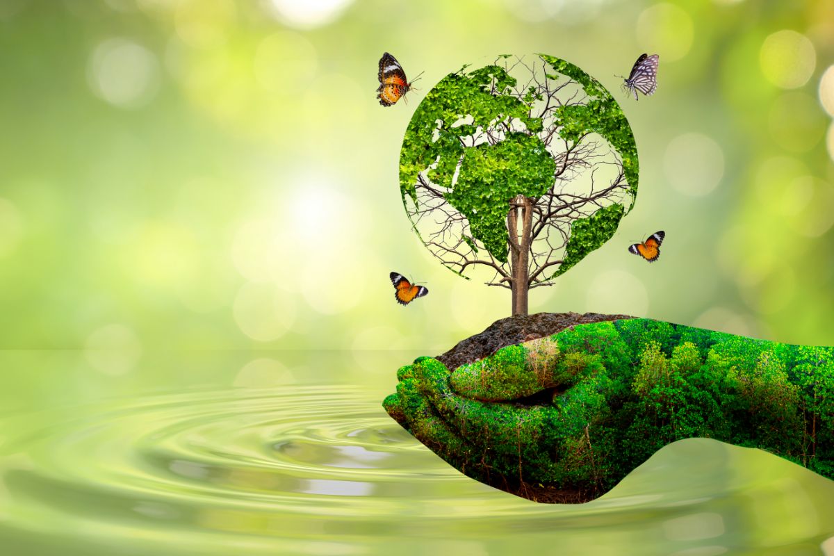 পরিবেশ রক্ষার লড়াই ও বাংলা বাঁচাও যাত্রা