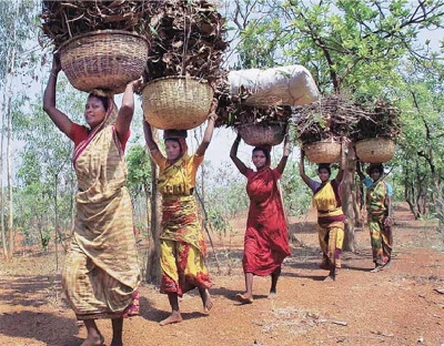 যে আইন জনগণের অধিকার ছিনিয়ে নিল
