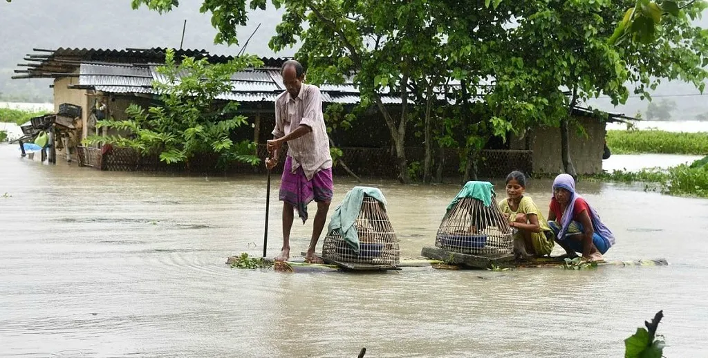 Sundarban Cover