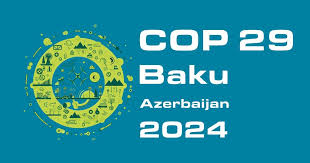 COP 29 Cover