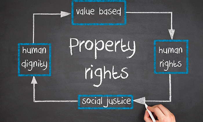 Property Rights Cover