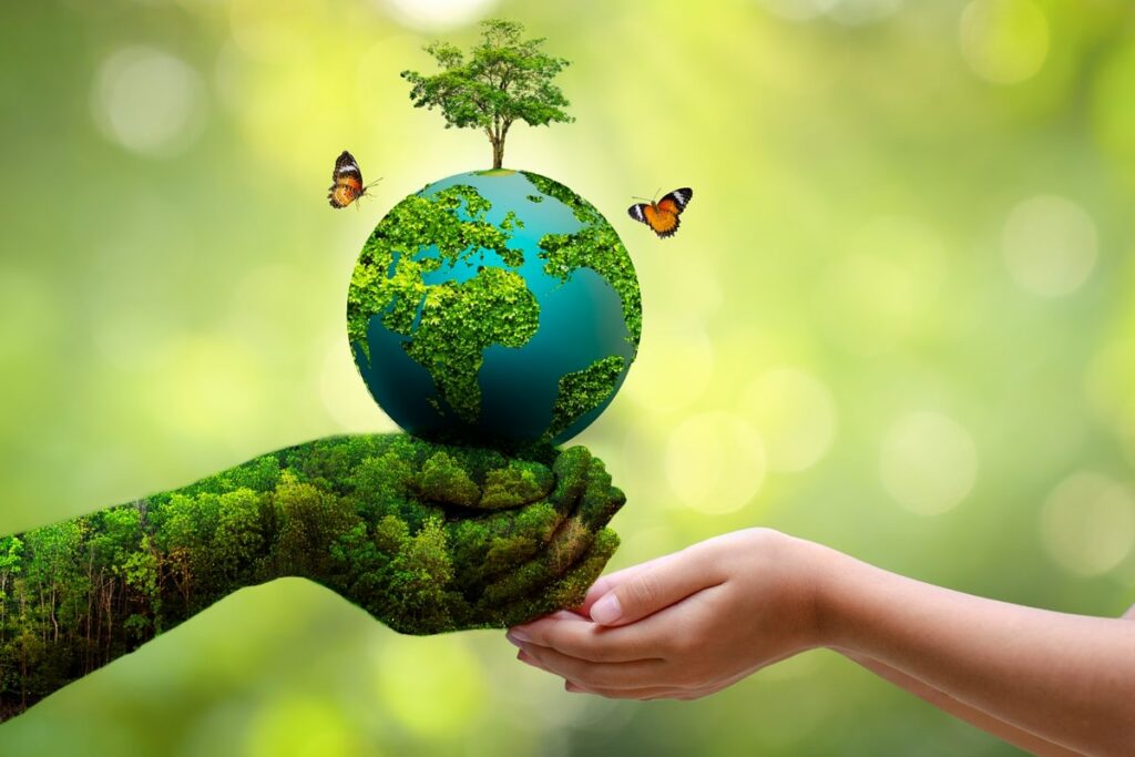 world environment day 2025